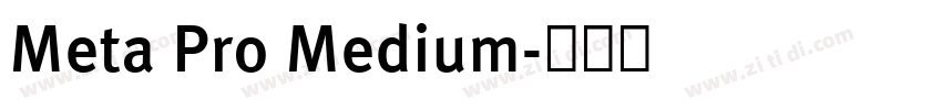 Meta Pro Medium字体转换